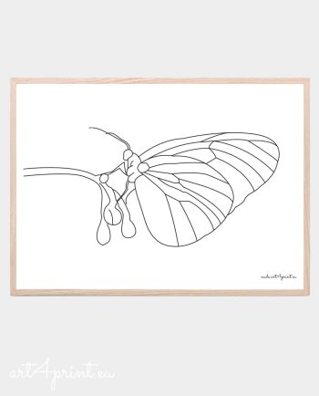 Butterfly line art print for room decoration