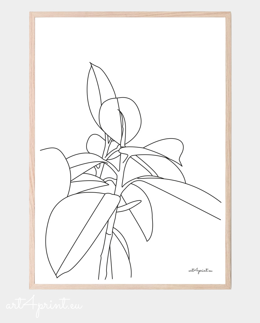 Floral print for interior decoration line art