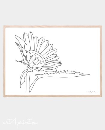 Sunflower minimalist line graphics artwork for printt